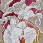 Orchideen weiß